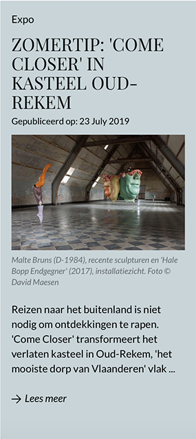 Screenshot artikel van het online kunstmagazine Jegens en Tevens, uit Den Haag